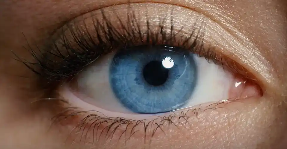 mediasolution – Werbeagentur Stuttgart